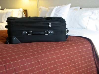 Bed bugs hiding in luggage