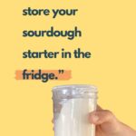 Woman storing sourdough starter in the fridge with text overlay "when in doubt, store your sourdough starter in the fridge."