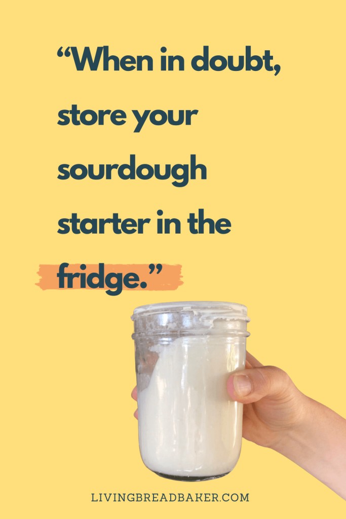 Woman storing sourdough starter in the fridge with text overlay "when in doubt, store your sourdough starter in the fridge."