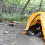 Travel companion found at a campsite
