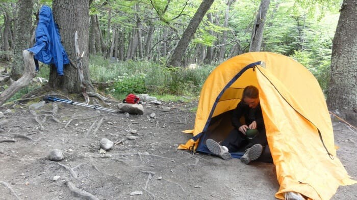 Travel companion found at a campsite