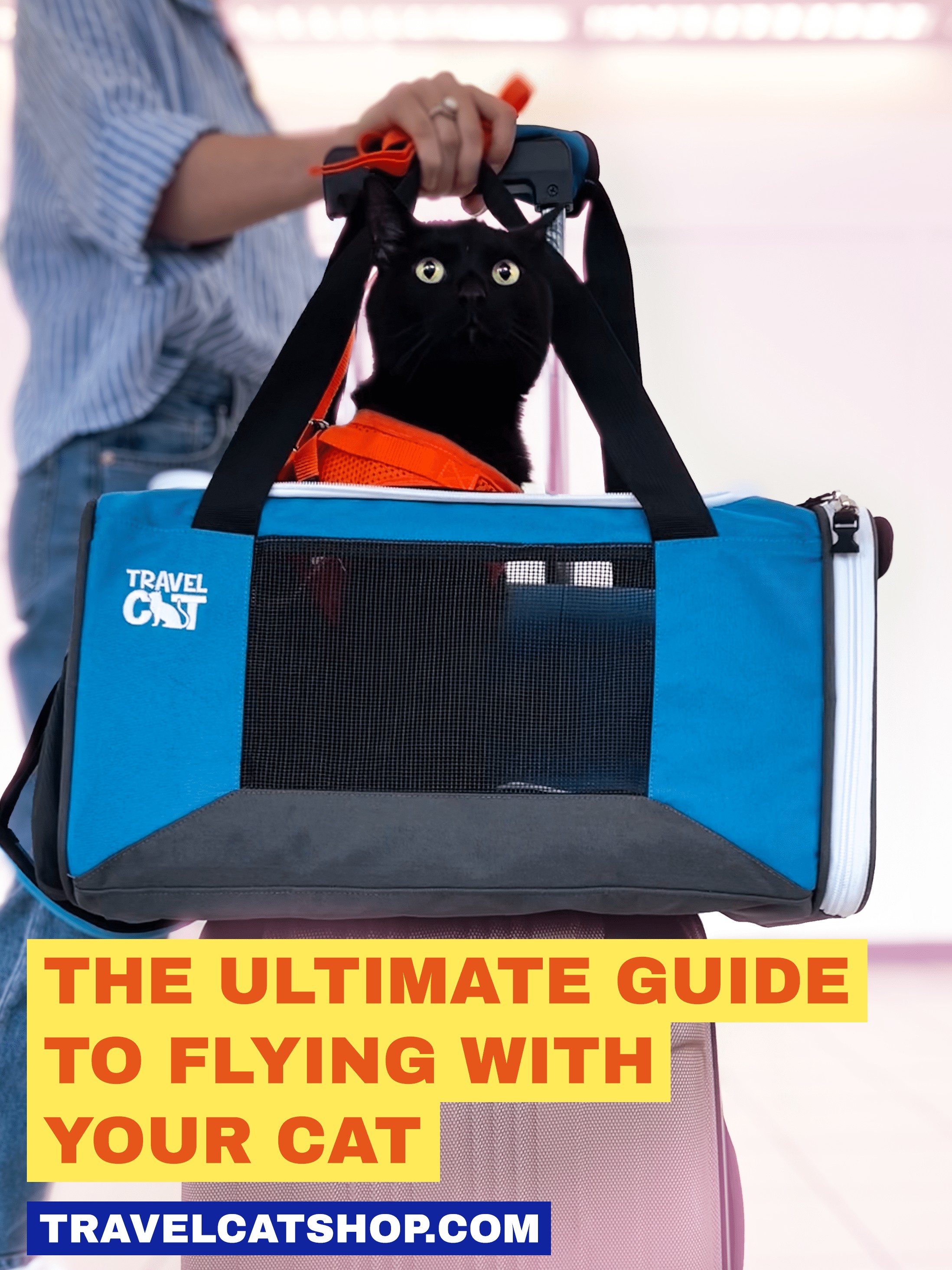 Cat peeking out of a comfortable carrier designed for air travel