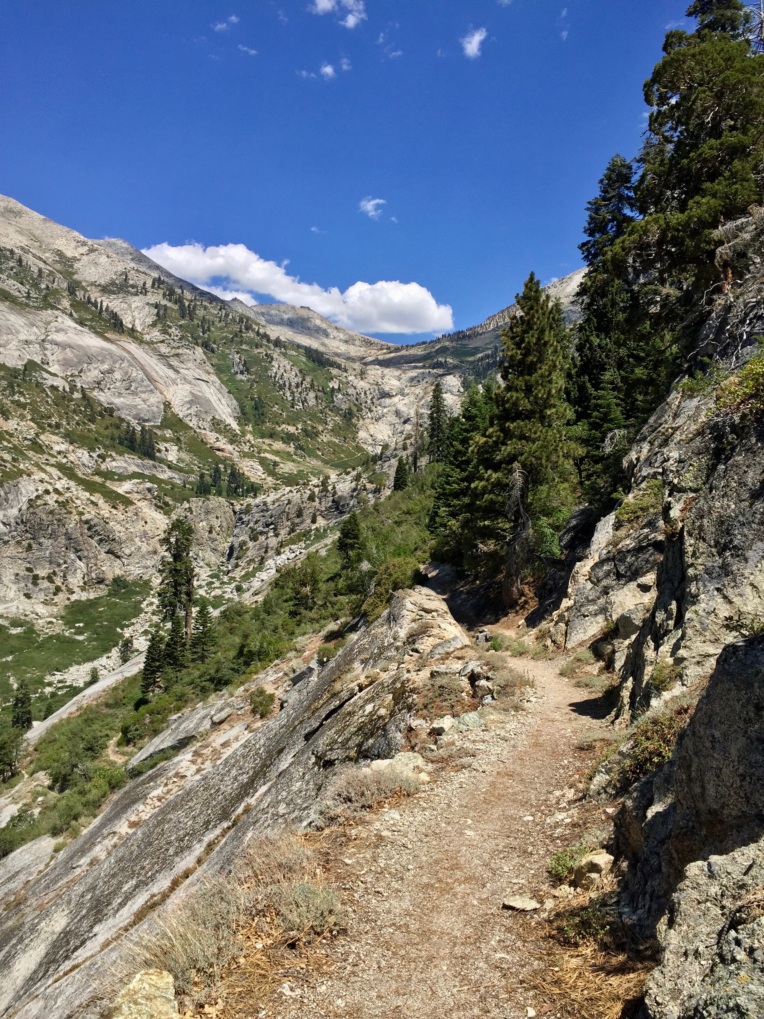View looking up toward Elizabeth Pass