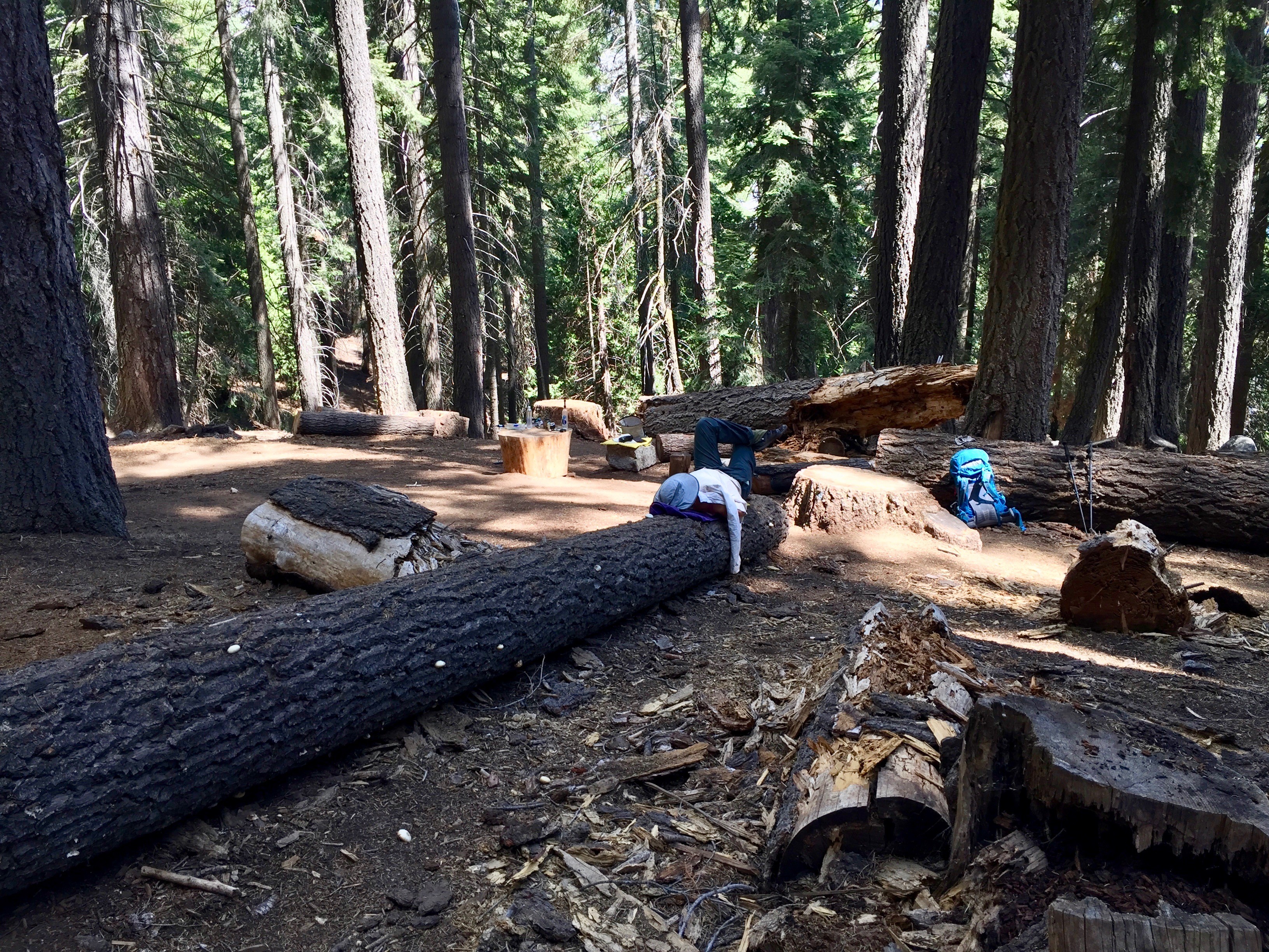 Deserted campgrounds at Bearpaw Meadows
