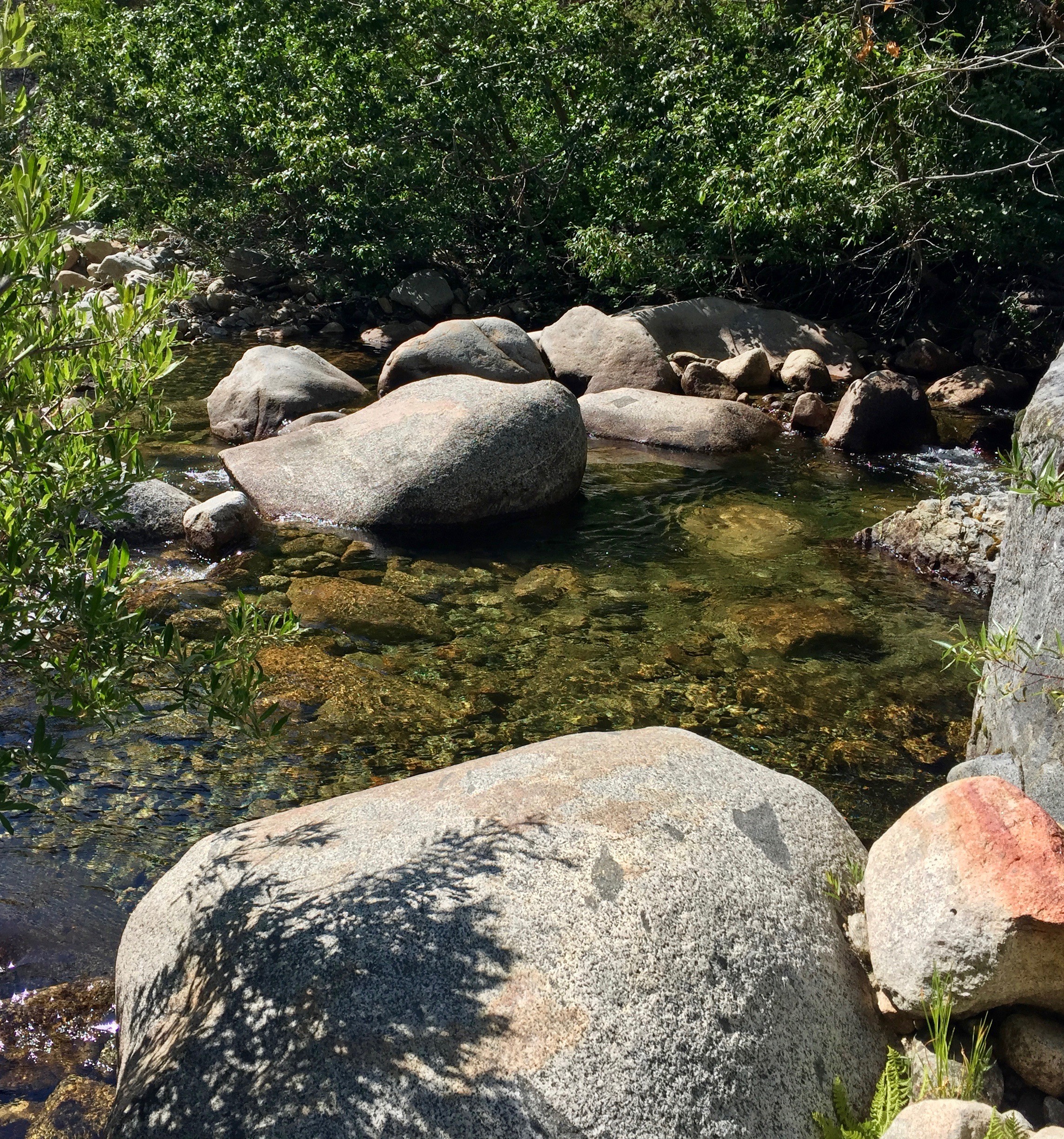 Middle Kaweah River flowing through the landscape
