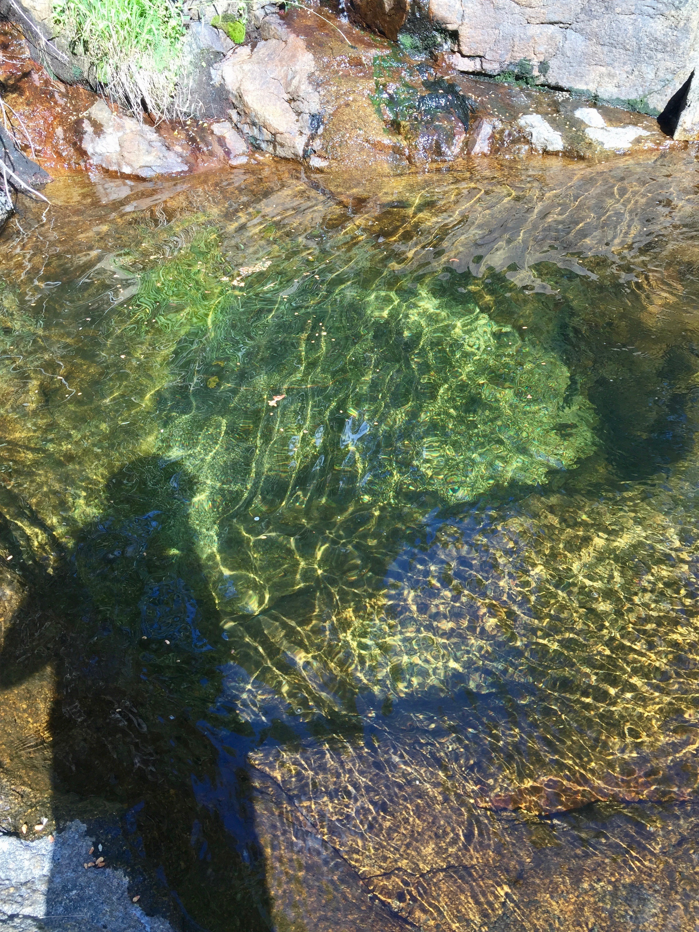 Clear pool in Eagle Scout Creek calling out to be enjoyed
