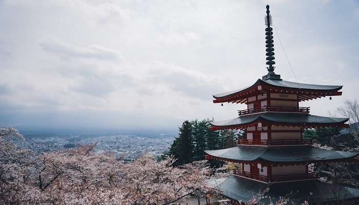 Image showcasing the diverse culture and traditions of Japan