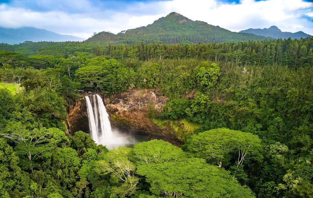 Waterfall in Lush Kauai, Hawaii