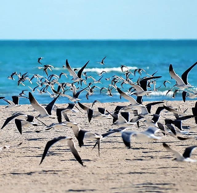 Key West