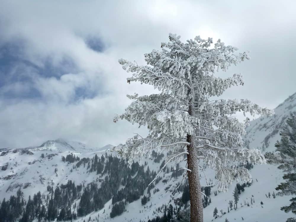 Kirkwood California winter resort 