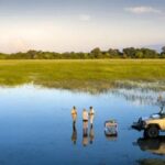 The Best Places to Go on Safari in 2025