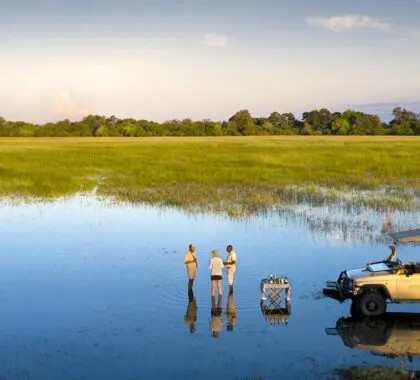 The Best Places to Go on Safari in 2025