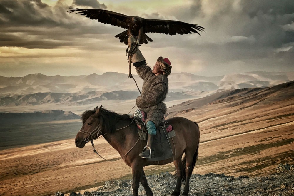 An eagle hunter on horseback in Mongolia holding an eagle. The eagle hunter is part of the Golden Eagle Festival.