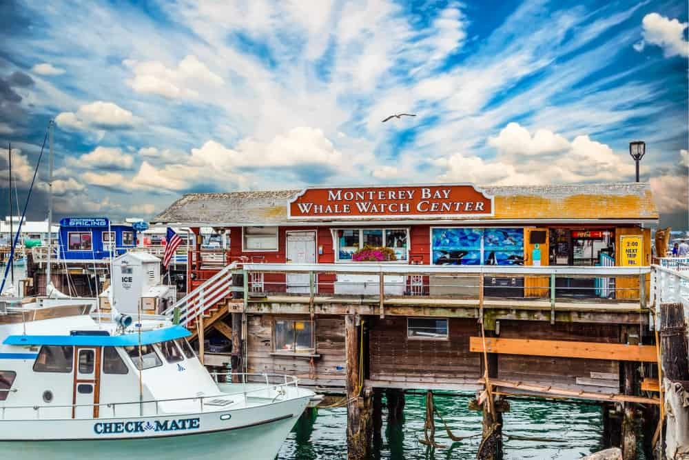 Monterey - a springtime break