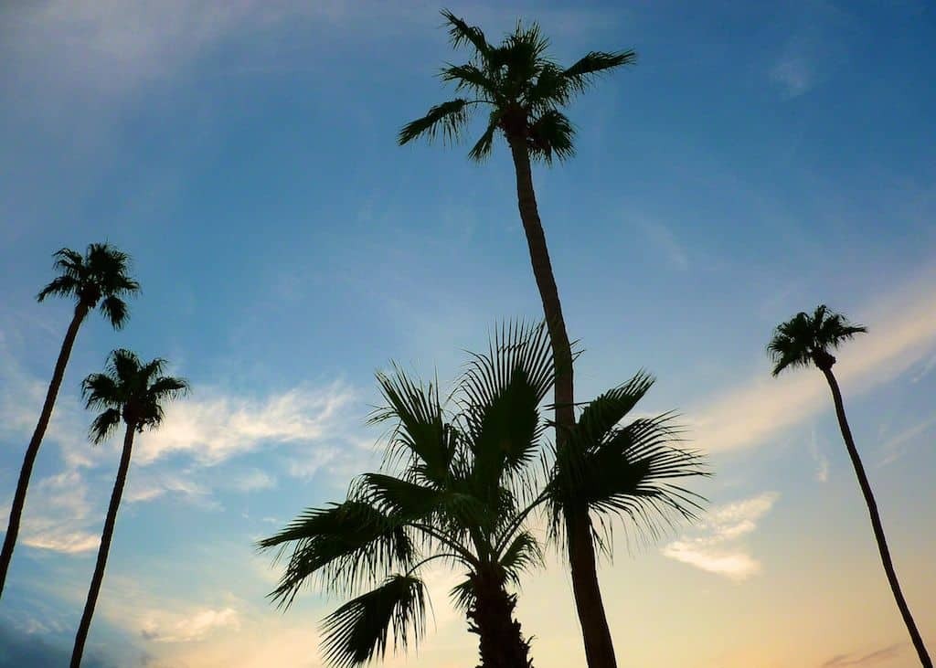 Palm Springs Architecture
