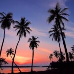 Red flags in Travel Agent Job postings