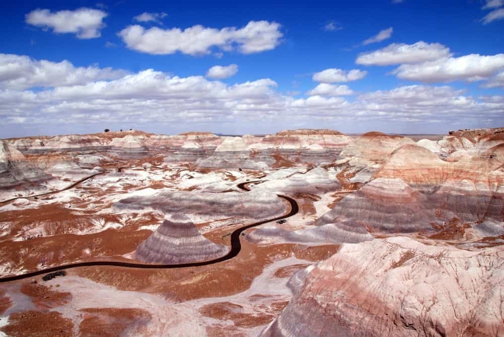 Petrified Forest National Park USA