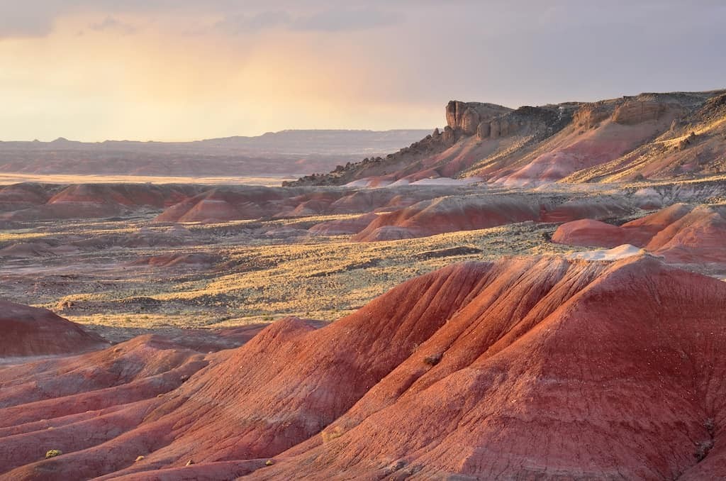 Petrified Forest National Park
