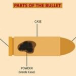 A bullet made of lead, jacketed by brass or copper, illustrating internal ballistics