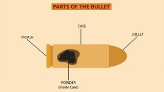 A bullet made of lead, jacketed by brass or copper, illustrating internal ballistics