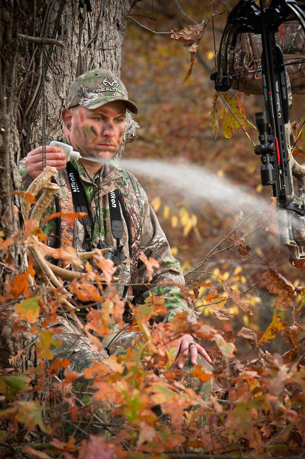 Deer uses the wind to pick up scents and detect predators, helping them navigate safely in their environment