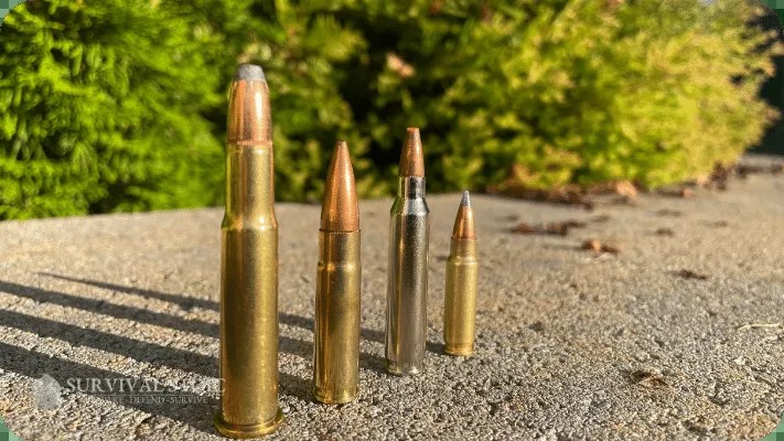 Rifle Ammunition: A variety of rifle cartridges displayed, showcasing different calibers and bullet types.