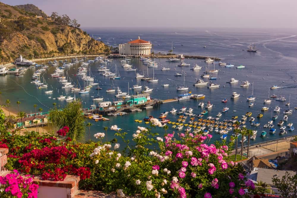 The picturesque harbor of Avalon on Santa Catalina Island, California