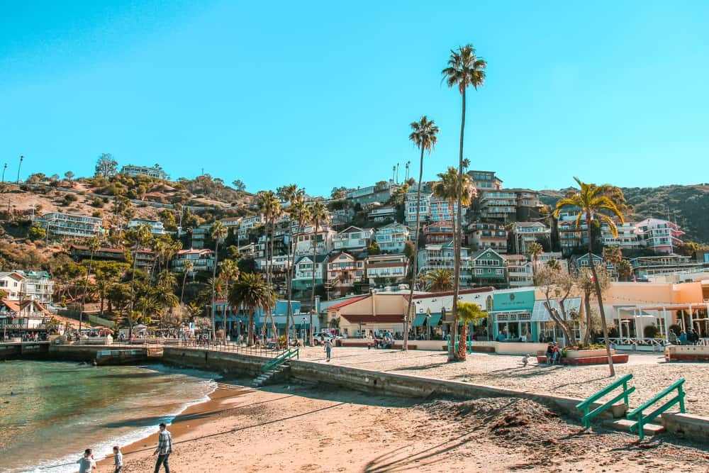 Snorkeling in the crystal-clear waters around Santa Catalina Island