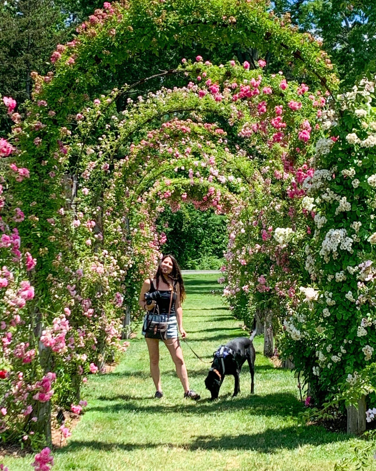 Woman with a dog at Elizabeth Park, West Hartford, Connecticut. The park is known for its formal gardens and walking trails.