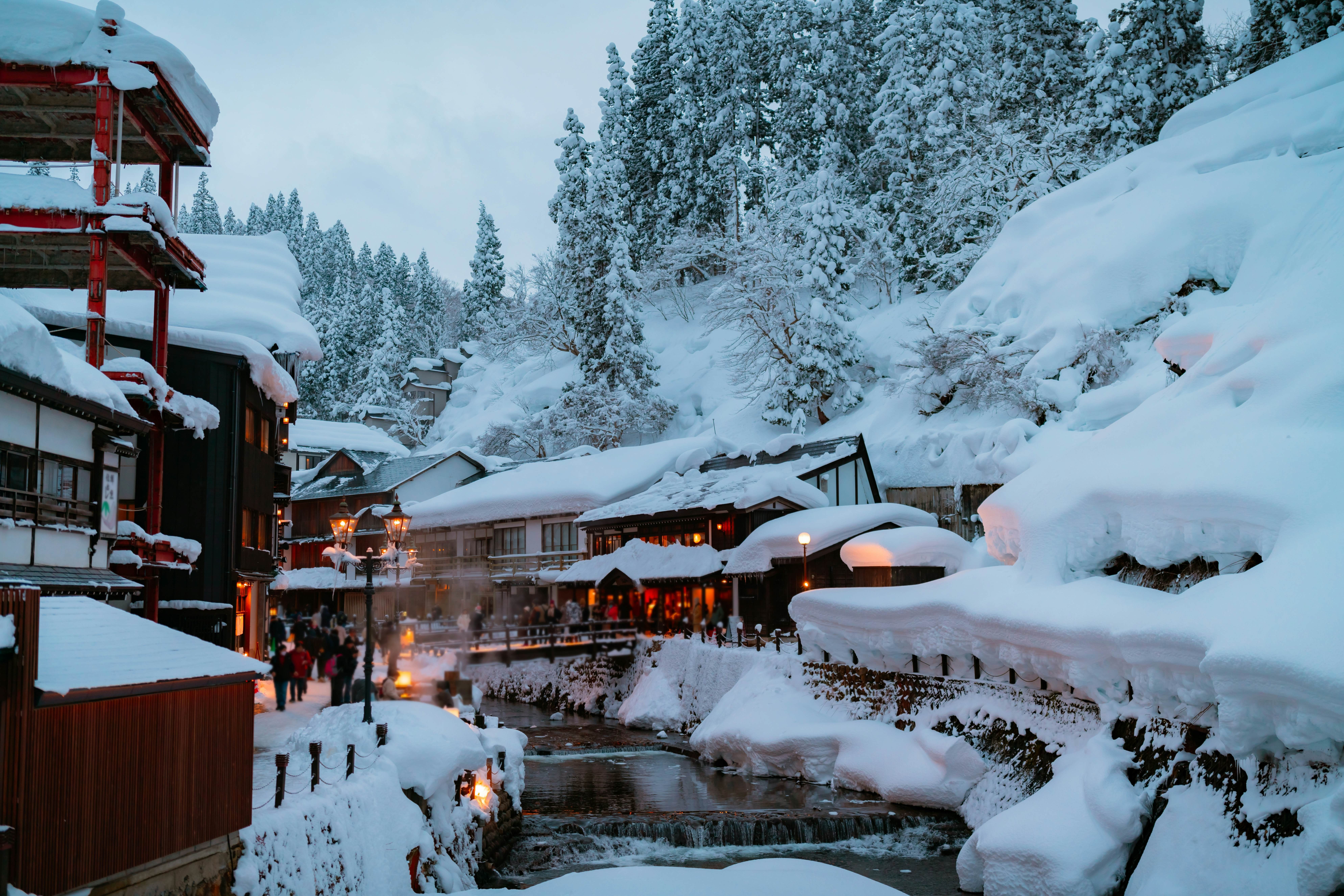 heavy snow covers the roofs, and pine trees on a slope that rises behind, offering a glimpse into the serene winter landscapes of Japan