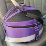 Traveling with a Cat by Car - Sleepypood carrier for cat road trips