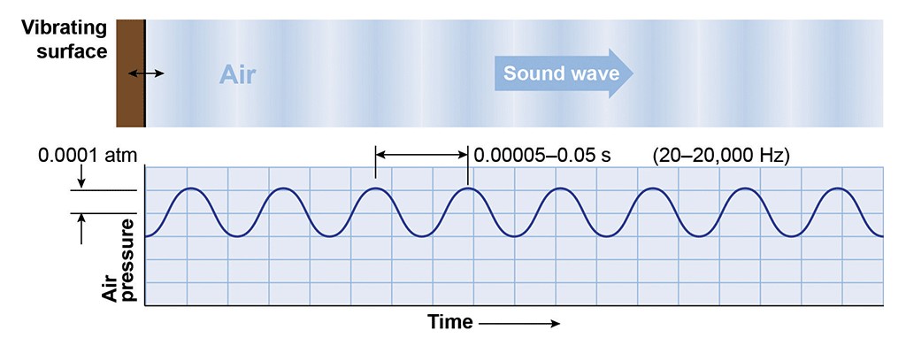 Direction of Sound Waves