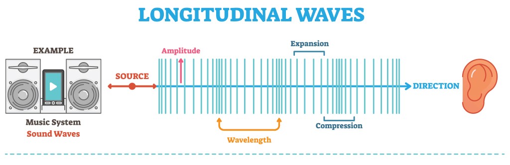 Visual comparison of longitudinal and transverse waves.