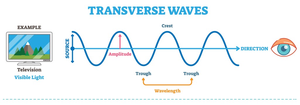Visual comparison of longitudinal and transverse waves.
