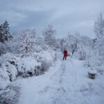 Woman enjoying the snowy weather in Reykjavik with warm clothing