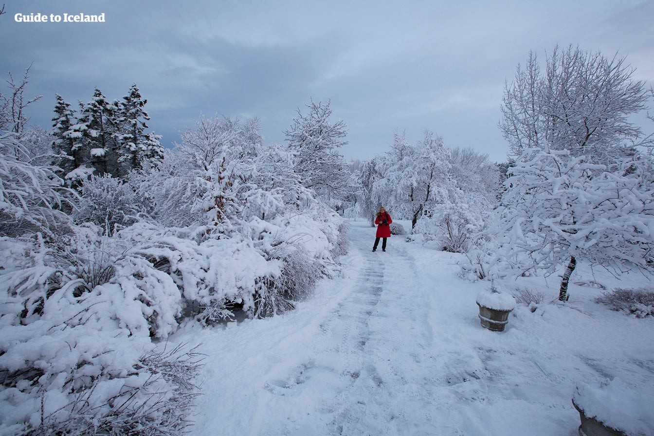 Woman enjoying the snowy weather in Reykjavik with warm clothing