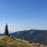 A motorcycle effortlessly conquers the summit, revealing a picturesque landscape of rolling hills and clear blue skies.