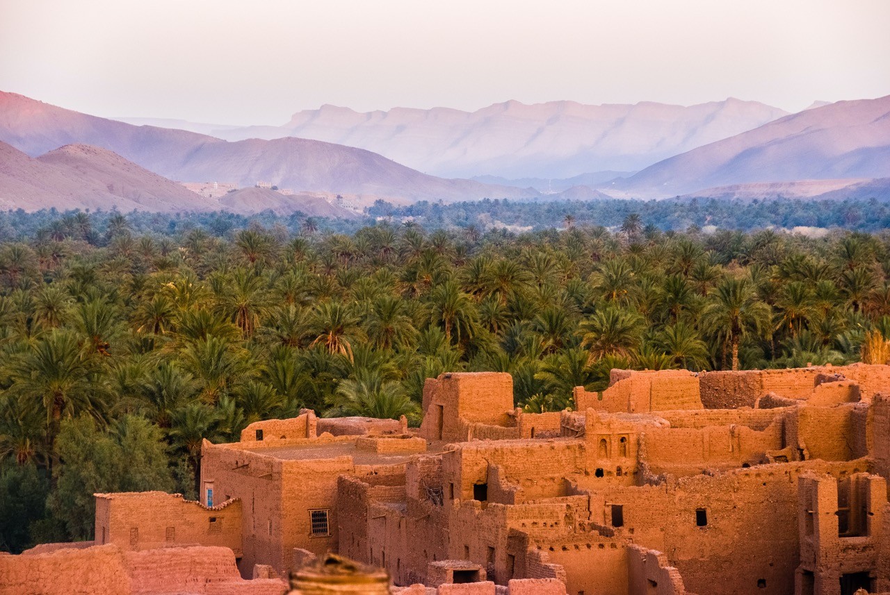 View of Marrakech rooftops at sunset