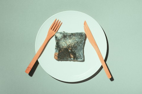 A close-up shot of mold growing on a slice of bread, emphasizing the importance of proper food storage