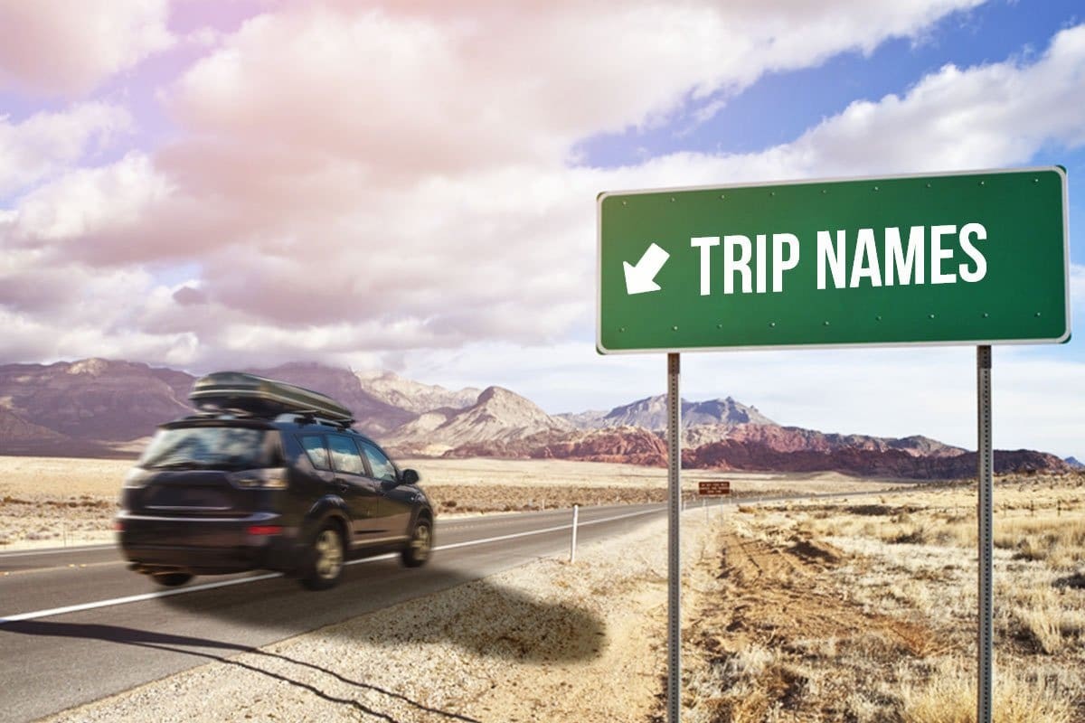 Car driving through Napa Valley, Best Travel Agency in Napa