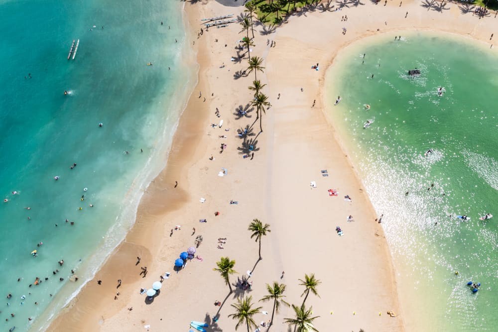Waikiki Beach Scene