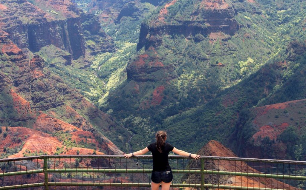 Waimea Canyon Lookout Platform | Footsteps of a Dreamer