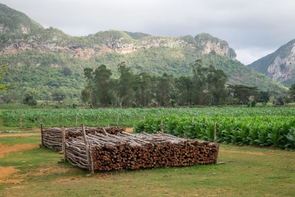 Mountains of Vinales and Tobacco Fields