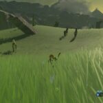 Link taming a wild horse in Zelda Breath of the Wild
